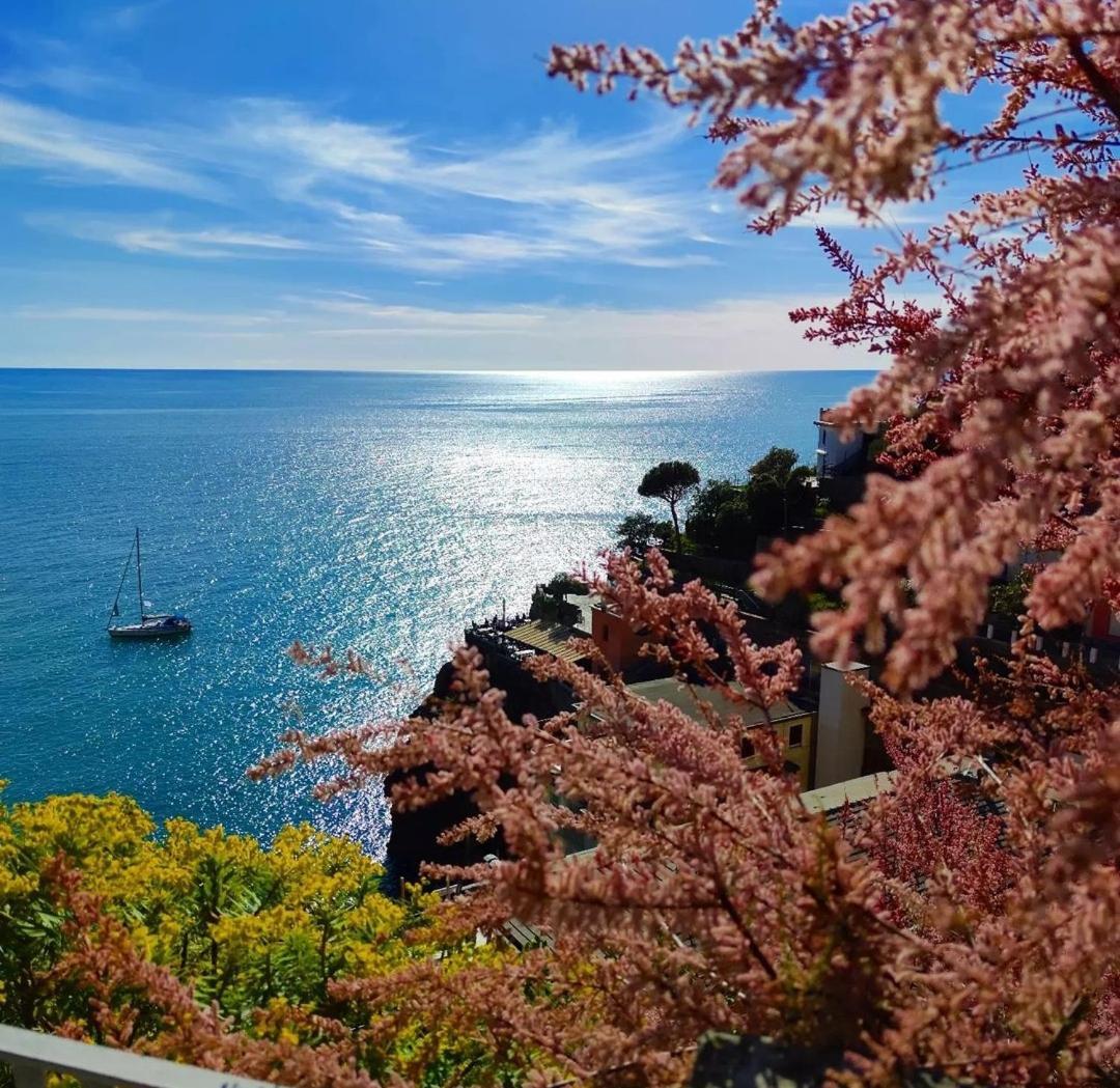 Exotic Flavour House Ξενοδοχείο Λα Σπέτσια Εξωτερικό φωτογραφία